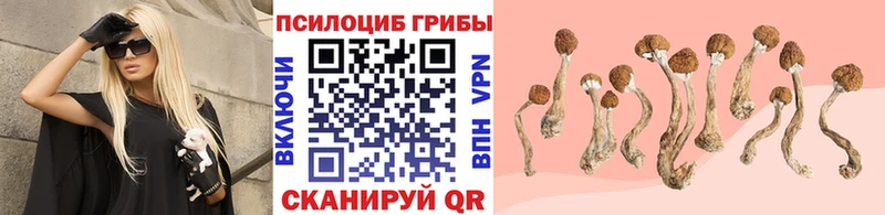 Купить где  Южа  Галлюциногенные грибы MAGIC MUSHROOMS 